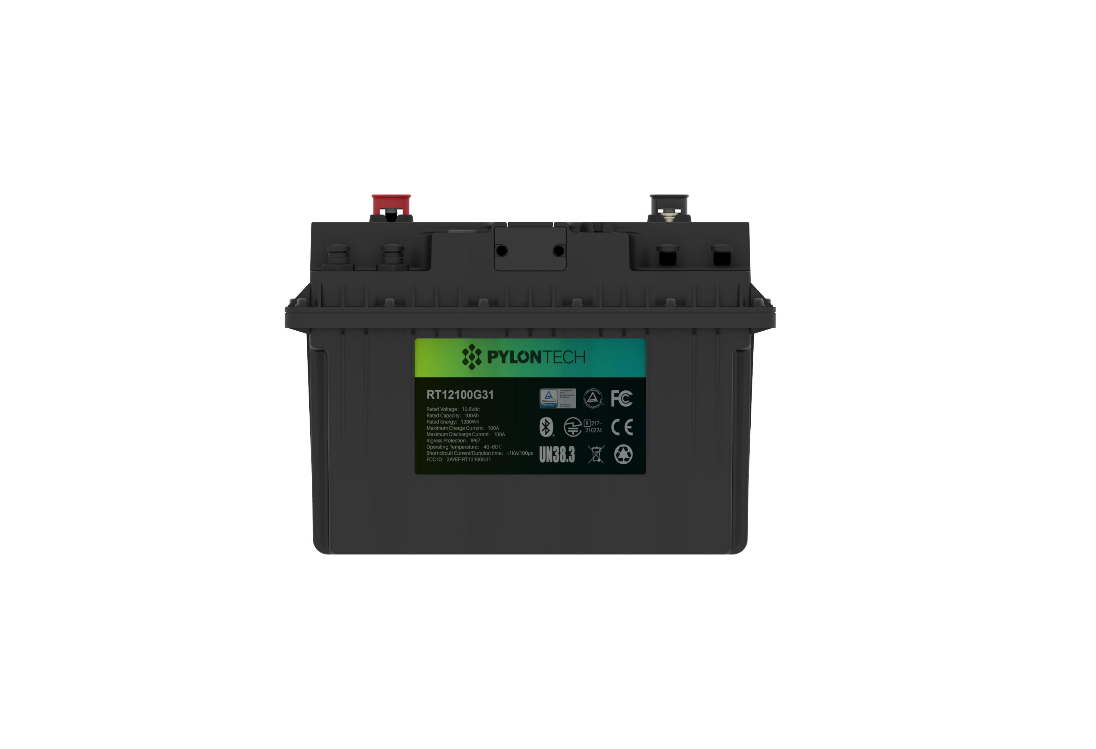12V 100Ah Lithium Iron Phosphate Battery w/ Bluetooth